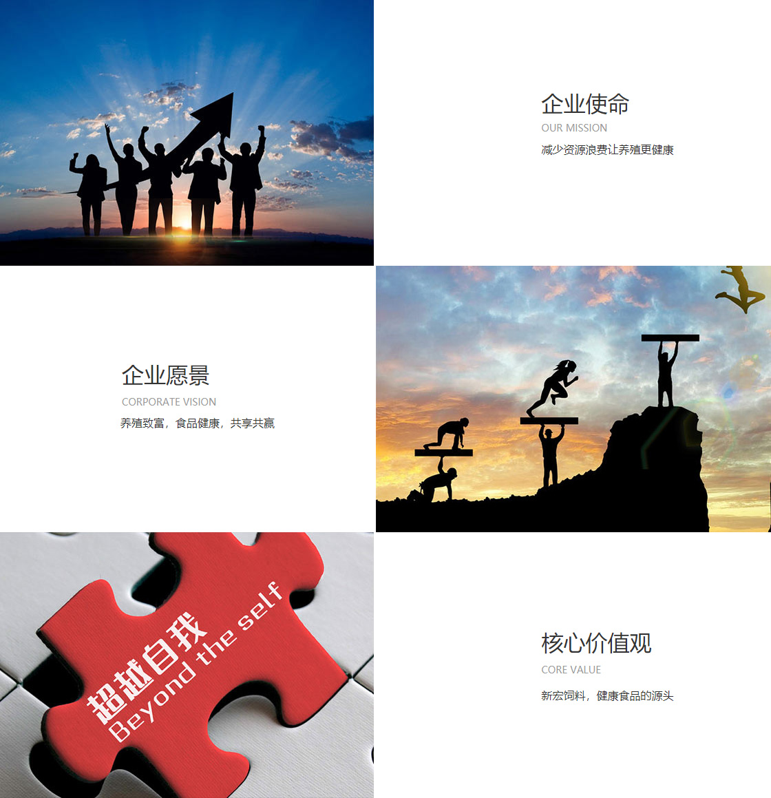 宝威体育官网(图1)